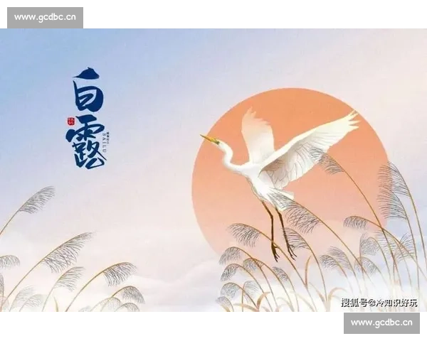 白露时节的气候变化与农事活动调整探析